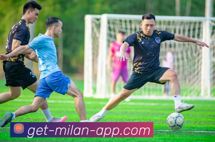 Milan平台生态图